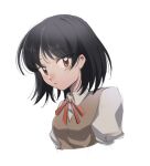  1girl asukujira bangs black_hair bob_cut brown_vest chinese_commentary commentary cropped_torso dress_shirt looking_at_viewer neck_ribbon parted_lips portrait puffy_short_sleeves puffy_sleeves red_eyes red_ribbon ribbon school_rumble school_uniform shirt short_hair short_sleeves simple_background sketch solo tsukamoto_yakumo upper_body vest white_background white_shirt 