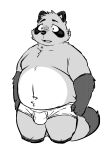  2023 anthro belly bulge canid canine clothing hi_res kemono kurobosi_48 male mammal overweight overweight_male raccoon_dog simple_background solo tanuki underwear 