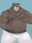  2023 anthro bear belly ben_(zenless_zone_zero) big_belly bottomwear bulge clothing enjoyertiger hi_res male mammal mihoyo moobs navel nipples overweight overweight_male pants scar solo zenless_zone_zero 