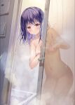  1girl bangs bath bathtub blush breasts closed_mouth commentary_request hands_up highres indoors looking_at_viewer medium_breasts navel nude original purple_hair red_eyes smile solo sousouman steam water 