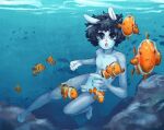  anthro clownfish fish girly hi_res lagomorph leporid male mammal marine pomacentrid rabbit solo underwater water x_ten_ten_x 