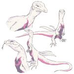  ambiguous_gender claws collage feral forked_tongue generation_7_pokemon hi_res lizard monitor_lizard nintendo pokemon pokemon_(species) realistic reptile salazzle scalie shiny_pokemon simple_background solo tongue tongue_out white_background white_body zoo69712356 