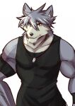  2016 abasirisippo amber_eyes anthro black_clothing black_shirt black_tank_top black_topwear canid canine canis clothing countershade_face countershade_torso countershading domestic_dog fur grey_body grey_fur grey_hair hair husky jewelry kouya_(morenatsu) male mammal morenatsu muscular muscular_anthro muscular_male necklace nordic_sled_dog shirt simple_background solo spitz tank_top topwear white_background 