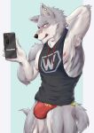  absurd_res armpit_hair band-aid bandage blue_eyes blush body_hair bulge canid canine canis clothing hi_res hiei0221 licking licking_lips looking_at_viewer male mammal nipples phone piercing selfie sleeveless_hoodie solo speedo swimwear tongue tongue_out underwear wolf 