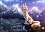  ambiguous_gender canid canine fennec feral fox mammal mountain rock rukifox sitting sky snow solo 