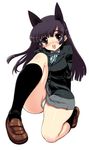  animal_ears black_legwear blush kazumi_yoshiyuki kneehighs legs loafers long_hair one_knee original panties pantyshot purple_eyes purple_hair school_uniform shoes skirt socks solo thighs underwear 