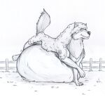  after_vore belly big_belly canid canine canis fence feral feral_pred fur looking_down male male_pred mammal raised_tail solo tail thatgryphonguy traditional_media_(artwork) vore wolf 