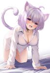  1girl :d ahoge all_fours animal_ears bakko bed_sheet blush bottomless breasts buckle cat_ears cat_girl cat_tail cleavage collar fang heart heart-shaped_pupils highres hololive large_breasts long_sleeves looking_at_viewer nekomata_okayu on_bed open_mouth pink_shirt purple_eyes purple_hair shirt short_hair simple_background smile solo symbol-shaped_pupils tail white_background white_shirt 