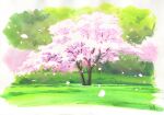  cherry_blossoms grass highres no_humans original outdoors painting_(medium) sawitou_mizuki scenery traditional_media tree 