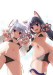  2girls animal_ear_fluff animal_ears animal_hands backlighting bell bikini black_bikini black_collar black_gloves black_hair cat_ears cat_girl cat_tail claw_pose collar commentary_request cowboy_shot elbow_gloves fang from_below gloves grey_hair hair_ornament hair_ribbon jingle_bell kakuno looking_at_viewer momiji_(uraniwa_no_tochi-gami-sama) multiple_girls navel neck_bell open_mouth paw_gloves purple_eyes rabbit_ears rabbit_girl red_collar red_eyes red_ribbon ribbon shiro_(uraniwa_no_tochi-gami-sama) side-tie_bikini_bottom smile sweat swimsuit tail uraniwa_no_tochi-gami-sama white_gloves x_hair_ornament 