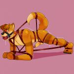  absurd_res aless-sotan ankles_tied anthro arms_tied athletic athletic_male ball_gag bdsm black_nose blush bodily_fluids bondage bound brown_eartips brown_eyes brown_hair brown_stripes canid canine dante24 digital_drawing_(artwork) digital_media_(artwork) drooling erection exercise feet_tied fox fur gag gagged gagged_drooling hair harness harness_ball_gag harness_gag hi_res knee_tied knees_together legs_tied legs_together male mammal multicolored_body multicolored_fur muzzle_(object) nude nude_male orange_body orange_fur orange_tail pink_background plank_(exercise) raised_tail restraints rope rope_bondage saliva shaded shaking simple_background solo stripes submissive submissive_male tail tail_tied tan_body tan_fur tan_tail_tip toes_tied trembling two_tone_body two_tone_fur 