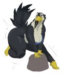  anthro avian beak big_butt bird bra butt clothing feathers feet female humanoid_feet nightbear_(artist) plantigrade rock solo tail_feathers toucan underwear 