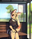  2023 anthro bench black_nose bottomwear bus_stop canid canine canis clothed clothing cloud day detailed_background enginetrap female fully_clothed fur grass head_tuft hi_res hoodie jackal mammal outside plant shorts signature sitting sky smile solo syl_(enginetrap) tan_body tan_fur topwear tree tuft 