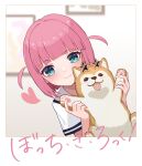  1girl :p absurdres animal animal_hands bangs blue_eyes blunt_bangs blurry blurry_background blush bocchi_the_rock! closed_mouth commentary copyright_name dog eyelashes eyewear_on_head gotou_futari hands_up heart highres holding holding_animal holding_dog indoors jianshu medium_hair picture_frame pink_hair shiba_inu shirt short_sleeves smile solo star-shaped_eyewear straight_hair sunglasses tongue tongue_out two_side_up white_shirt 