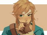  1boy bangs blonde_hair blush brown_background closed_mouth fingerless_gloves flying_sweatdrops gloves green_eyes green_shirt highres link pisu_1107 pointy_ears portrait shirt solo sweatdrop the_legend_of_zelda the_legend_of_zelda:_breath_of_the_wild white_background 