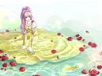  3ta2 alternate_costume alternate_hairstyle dress faris_scherwiz feathers final_fantasy final_fantasy_v flower red_flower red_rose rose sad sad_smile sarisa_highwind_tycoon smile solo spoilers water 