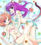  animal_ears bikini blue_eyes blush breasts brown_hair candy cat_ears chupa_chups cleavage food kantaro lollipop long_hair medium_breasts multiple_girls original purple_eyes purple_hair short_hair side-tie_bikini swimsuit tail 