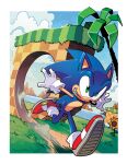  1boy absurdres blue_sky border cloud cloudy_sky collaboration commentary commission english_commentary flower furry gloves grass green_eyes green_hill_zone highres male_focus matt_herms second-party_source sega sky sonic_(series) sonic_the_hedgehog sunflower tracy_yardley tree water white_border white_gloves 