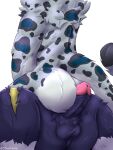  3:4 anthro balls bear butt duo felid genitals hi_res jhonny_(otherpolanda) male male/male mammal pantherine penis sakato_snowyn snow_leopard 