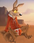  4:5 anthro briefs brown_body bulge canid canine canis clothing coyote detailed_bulge fernley hi_res hoodie looney_tunes male mammal midriff outside red_clothing sitting solo topwear underwear warner_brothers wile_e._coyote 