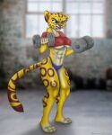  5:6 abs anthro athletic athletic_female breasts cheetah clenched_teeth digital_media_(artwork) disney dumbbell exercise felid feline female fuli hi_res mammal muscular nipple_outline solo teeth the_lion_guard the_lion_king under_boob weightlifting weights working workout 