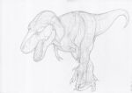  absurd_res ambiguous_gender claws dinosaur feral graphite_(artwork) hi_res monochrome open_mouth reptile scalie simple_background solo standing tail teeth theropod three-quarter_view tongue traditional_media_(artwork) tyrannosaurid tyrannosaurus tyrannosaurus_rex walking zw3 
