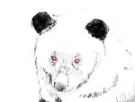  ambiguous_gender bear feral invalid_tag looking_at_viewer mammal red_eyes sketch solo twistcmyk 