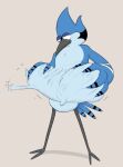  abdominal_bulge anthro avian body_outline cartoon_network da~blueguy digital_media_(artwork) hand_on_stomach hi_res male male/male male_pred male_prey mordecai_(regular_show) regular_show rigby_(regular_show) simple_background struggling struggling_prey vore 