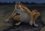  anthro artist_name belly big_belly blurred_background brown_body brown_fur canid cheek_tuft chest_tuft claws crouching dipstick_tail facial_tuft fangs finger_claws front_view full-length_portrait fur grass hi_res huge_belly male mammal markings mouth_closed neck_tuft nude outside plant portrait roobin solo tail tail_markings teeth toe_claws tuft vore 