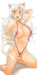  animal_ears bakemonogatari hanekawa_tsubasa pink_swimsuit pubic_hair sling_bikini swimsuit tagme tail uncensored white_hair 