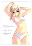  absurdres artoria_pendragon_(all) bangs bikini fate/stay_night fate_(series) highres saber shingo_(missing_link) solo swimsuit 