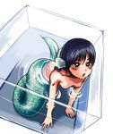  arm_support bent_over black_eyes black_hair blush breasts chestnut_mouth dutch_angle from_above full_body head_fins in_container mermaid minigirl monster_girl open_mouth original oyatsu_(mk2) partially_submerged scales see-through short_hair simple_background small_breasts solo water white_background 