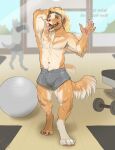  accessory anthro bird_dog blonde_hair blue_eyes bodily_fluids bottomwear bulge canid canine canis claws clothing dialogue digitigrade domestic_dog dumbbell exercise_ball fur golden_retriever gym gym_bottomwear gym_clothing gym_shorts hair hair_accessory hairband hand_behind_head hi_res hunting_dog male male_focus mammal mirror muscular muscular_anthro muscular_male nipples open_mouth pawpads pig_(artist) pink_nose retriever shirtless shorts shorts_only smile solo_focus sweat tan_body tan_fur tongue tongue_out trainer weights 