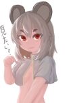  1girl absurdres animal_ears bangs breasts capelet clip_studio_paint_(medium) closed_mouth commentary_request covered_nipples grey_capelet grey_hair highres lenserd looking_at_viewer mouse_ears mouse_girl naked_capelet nazrin red_eyes short_hair simple_background small_breasts smile solo touhou translation_request upper_body white_background 