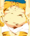  0119_muu 2023 anthro belly big_belly blush bodily_fluids bulge clothing felid hi_res kemono male mammal moobs navel overweight overweight_male pantherine solo sweat tiger underwear undressing 