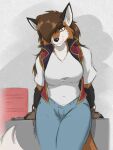  2018 anthro blue_bottomwear blue_clothing blue_pants bottomwear breasts brown_body brown_fur brown_hair canid canine clothed clothing colored female fox fur gloves hair handwear looking_at_viewer mammal pants sandra_(zerofox1000) shirt signature smile solo standing topwear white_clothing white_shirt white_topwear yellow_eyes zerofox1000 