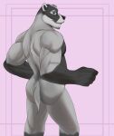  anthro badger black_eyes butt echo_(series) echo_project european_badger grey_body hi_res male mammal meles muscular muscular_male mustelid musteline nikolai_(the_smoke_room) nude pink_background rear_view simple_background solo the_smoke_room unknown_artist 