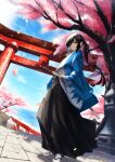  1girl black_hair blonde_hair blue_sky breasts cherry_blossoms falling_petals green_eyes hair_ribbon haori highres hirano_masatosh holding holding_sword holding_weapon japanese_clothes katana kimono long_hair looking_at_viewer looking_to_the_side multicolored_eyes open_mouth original outdoors petals ponytail ribbon shadow shinsengumi shrine sky solo sunlight sword torii tree weapon 