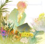  1boy ahoge amemura_ramuda ankle_boots argentum_1121 bangs blue_eyes boots candy capri_pants colored_tips crossed_legs field flower flower_field food highres hood hooded_jacket hypnosis_mic jacket lollipop looking_to_the_side multicolored_hair on_grass pants pink_hair red_ribbon ribbon shirt short_hair_with_long_locks sitting sleeves_past_wrists solo white_shirt 