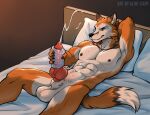  alibi-cami anthro bed bodily_fluids canid canine cum cum_on_chest cum_on_self ejaculation fox furniture genital_fluids knot lying male mammal masturbation penetrable_sex_toy sex_toy solo 