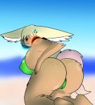  anthro beach big_breasts big_butt bodily_fluids breasts butt canid canine clothing dipstick_tail feet female fluffy fluffy_tail fox freckles freckles_on_butt frenchybaguette hair hair_over_eyes hand_on_butt headphones hi_res inner_ear_fluff looking_back mammal markings nervous seaside shy solo sweat sweatdrop swimwear tail tail_markings thick_thighs tuft 