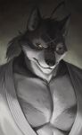  2021 absurd_res anthro big_pecs black_nose canid canine canis chest_markings colored countershade_face countershade_neck countershading eye_scar facial_scar fur grey_body grey_fur grey_theme hair hi_res keikogi long_hair looking_at_viewer male mammal markings martial_arts_uniform morenatsu multicolored_body multicolored_fur muscular muscular_anthro muscular_male nat10730 pecs ponytail restricted_palette scar solo sportswear ten_kodori two_tone_body two_tone_fur wolf yellow_eyes 