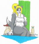  anthro bamboo blonde_hair canid canine female fox fur grey_body grey_fur hair hi_res hot_spring lottie_(remaninglife) mammal red_fox remaninglife sake_bottle silver_fox sitting solo thick_thighs towel traditional_media_(artwork) water 
