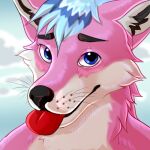  1:1 anthro black_inner_ear_fluff black_nose blep blue_eyes blue_hair bust_portrait canid cheek_tuft facial_tuft front_view fur glistening glistening_eyes hair inner_ear_fluff looking_at_viewer male mammal neck_tuft nude pink_body pink_fur portrait red_inner_ear_fluff red_tongue roobin short_hair simple_background solo tongue tongue_out tuft white_body white_fur 