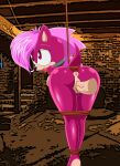  absurd_res anthro anus ball_gag basement bdsm bondage bound dic_entertainment disembodied_penis female frost_norde gag genitals hedgehog_(sci) hi_res human human_on_anthro humanoid_genitalia interspecies male male/female mammal penis pussy red_eyes sega sex sonia_the_hedgehog sonic_the_hedgehog_(series) sonic_underground vaginal 