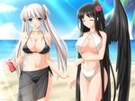  2girls beach dubiouscharms girl mabinogi nao omorashi peeing wetting wings 