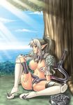  1girl armor bikini_armor breasts buckler echidna elf female full_body kakitsubata_tsukune nature outdoors partially_visible_vulva pointed_ears pointy_ears queen&#039;s_blade queen's_blade red_eyes relaxed shield silver_hair sitting sky snake solo spread_legs sword thighhighs tree uncensored weapon 