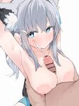  1boy 1girl animal_ear_fluff animal_ears armpits bar_censor blue_archive breast_grab breasts censored collarbone cum ejaculation grabbing grey_hair hetero highres large_areolae large_breasts mikozin nipples official_alternate_costume paizuri projectile_cum shiroko_(blue_archive) shiroko_(swimsuit)_(blue_archive) short_hair simple_background solo_focus sweat white_background 