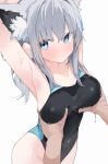  1girl animal_ear_fluff animal_ears grey_hair highres mikozin official_alternate_costume shiroko_(blue_archive) shiroko_(swimsuit)_(blue_archive) short_hair solo_focus 