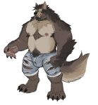 anthro bruno_(rossciaco) bulge canid canine canis claws collar fangs fur hi_res male mammal nipples pawpads paws rossciaco scar sharp_claws sharp_teeth simple_background solo teeth were werecanid werecanine werewolf white_background wolf 